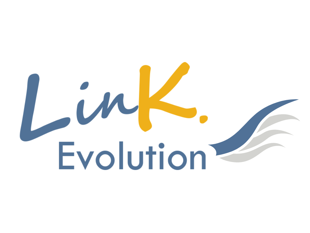 LinK. Evolution
